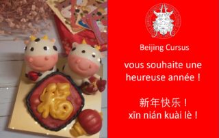 Nouvelle année chinoise Buffle - Beijing Cursus