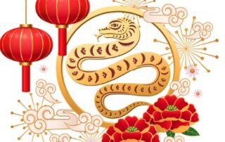 Nouvel An Chinois 2025 - Année du Serpent - Beijing Cursus