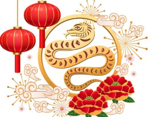 Nouvel An Chinois 2025 : Bonne année du Serpent !