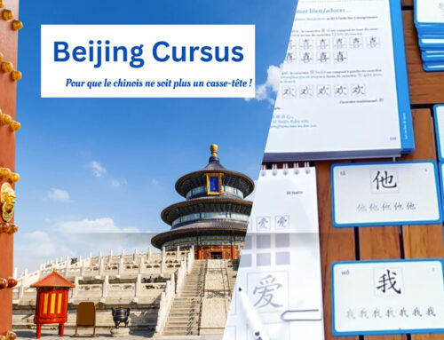 Comment apprendre le chinois seul ? Conseils pour réussir