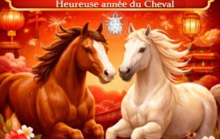 Bonne année du cheval en chinois - Nouvel An Chinois - Beijing Cursus
