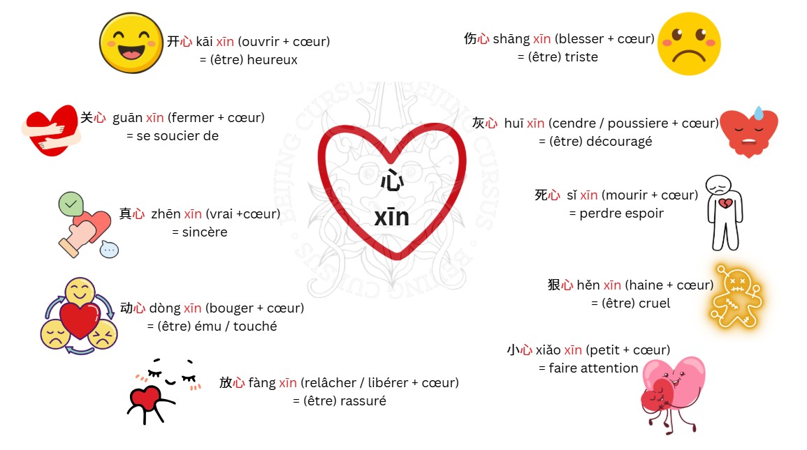 Apprendre le chinois efficacement - Cours de chinos pour débutant - Beijing Cursus